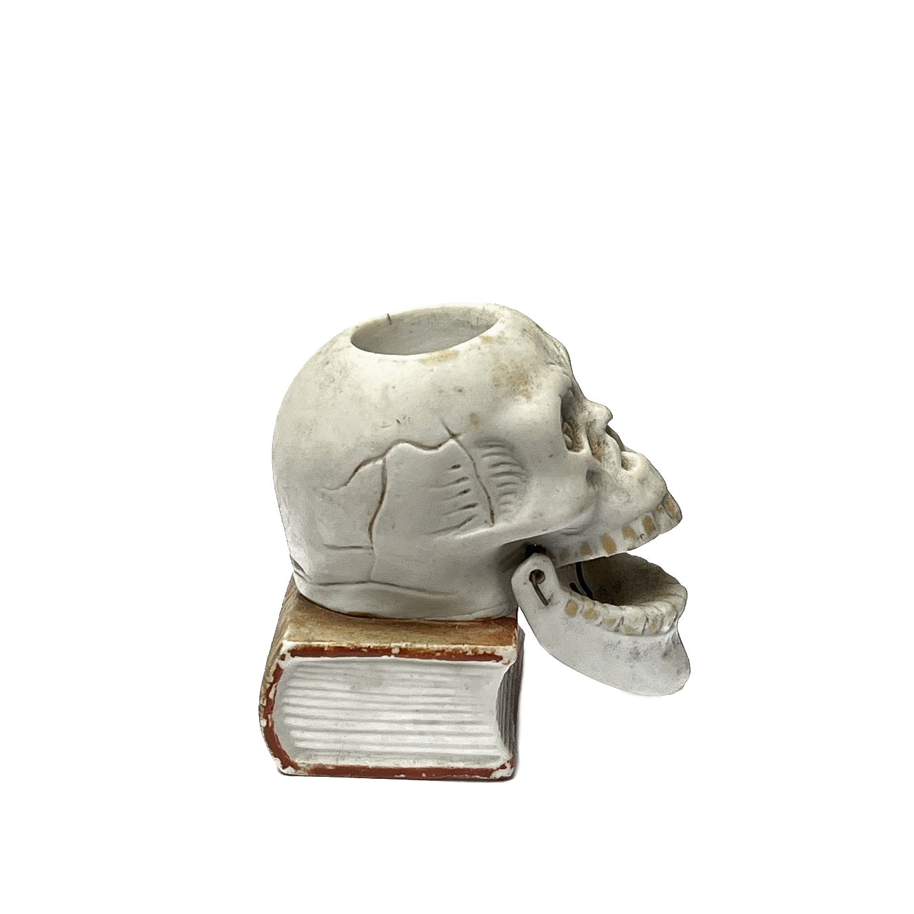 1950s - 1960s Skull On Book