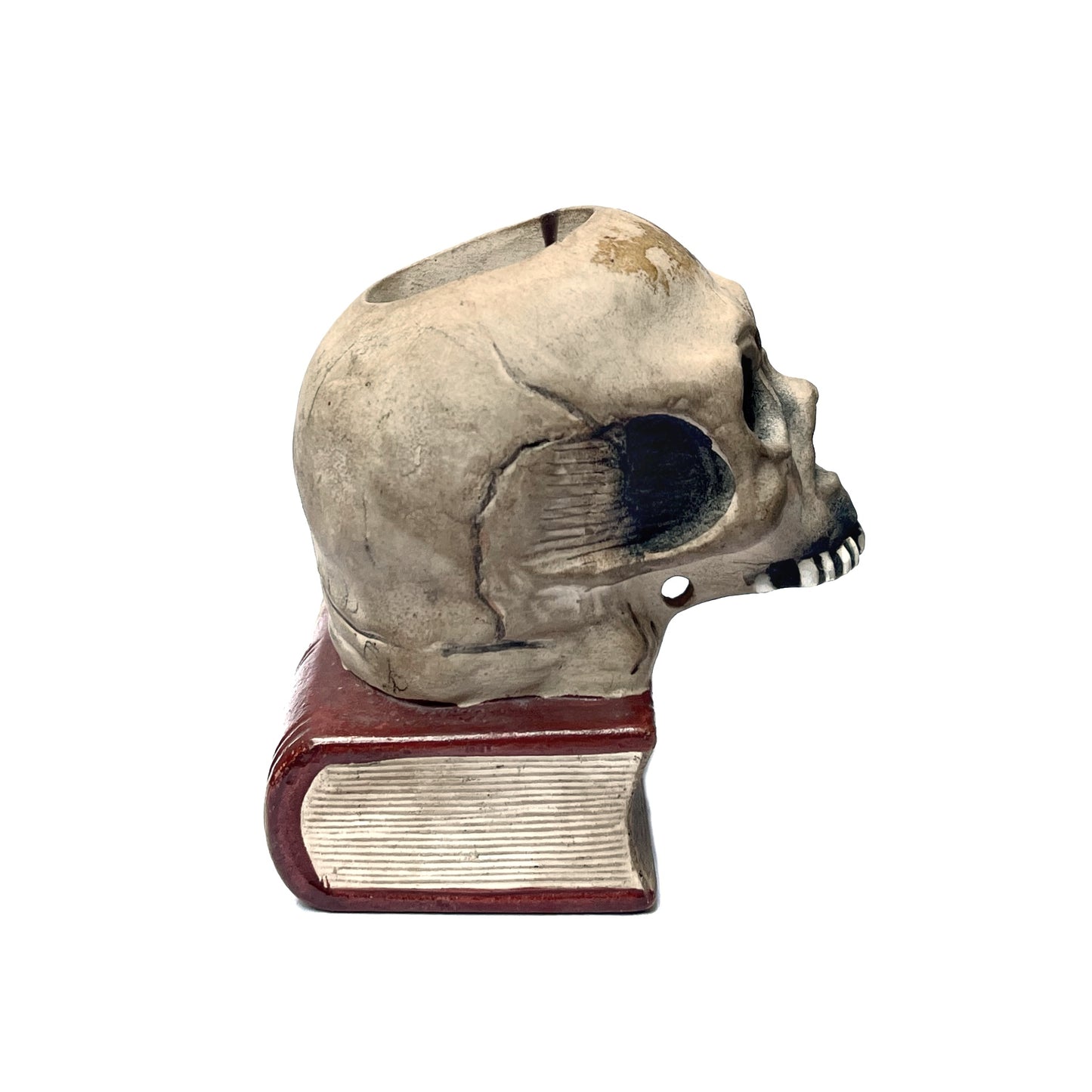 1950s - 1960s Skull On Book