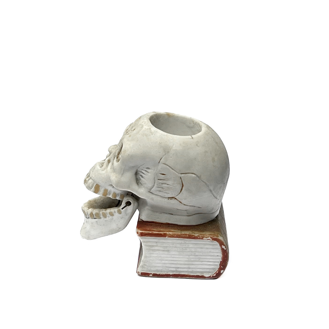 1950s - 1960s Skull On Book