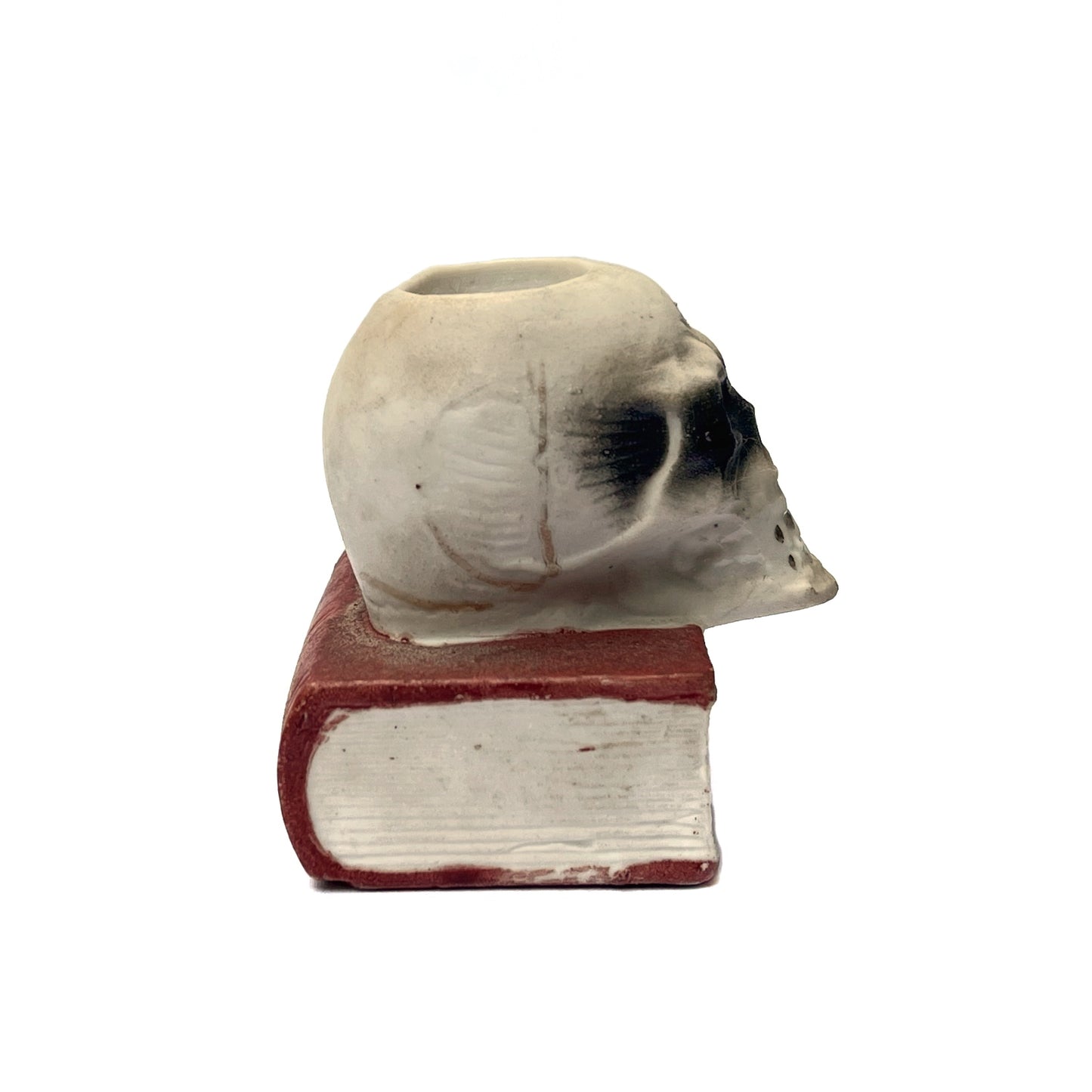 1950s - 1960s Skull On Book