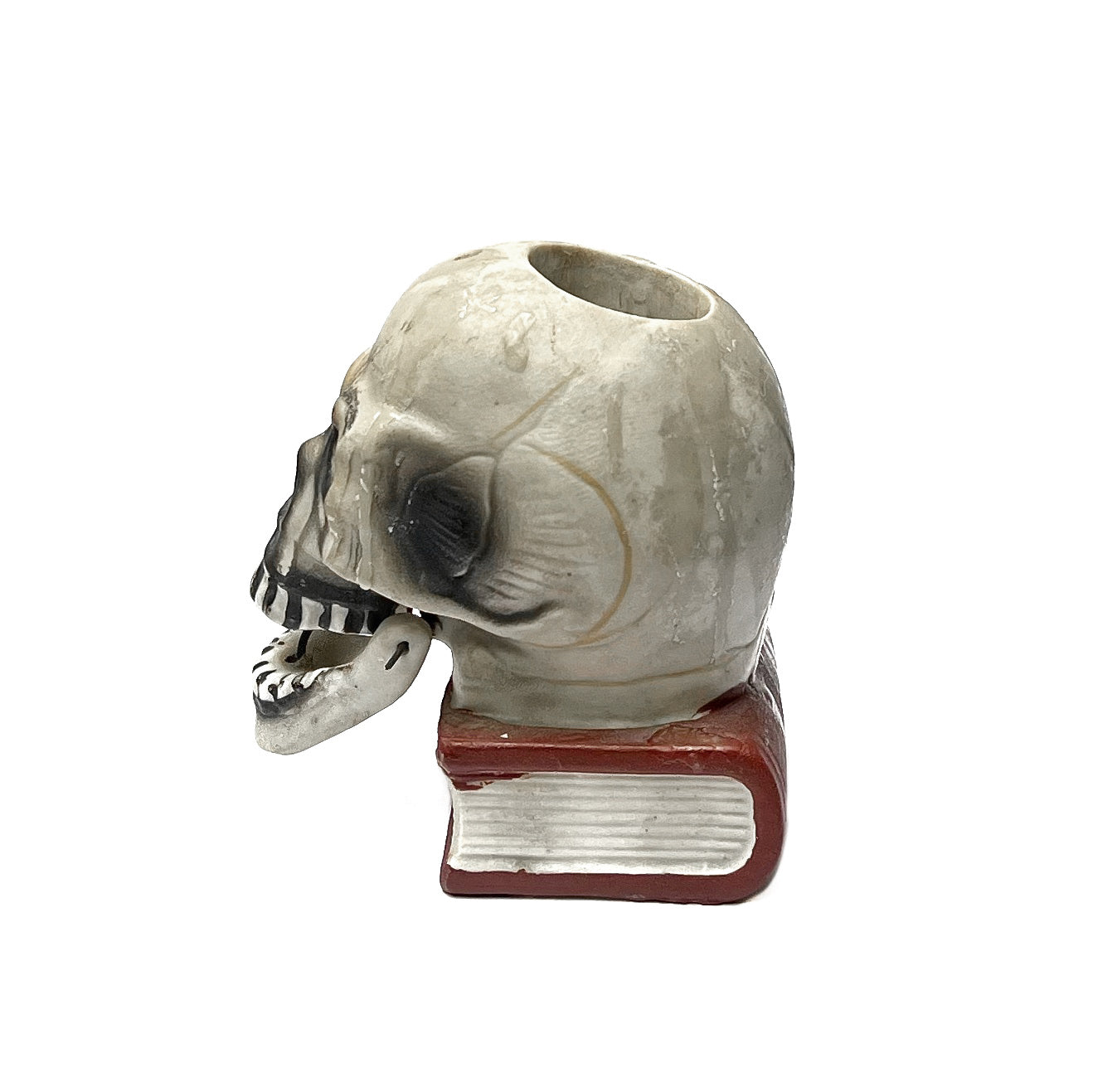 1950s - 1960s Skull On Book