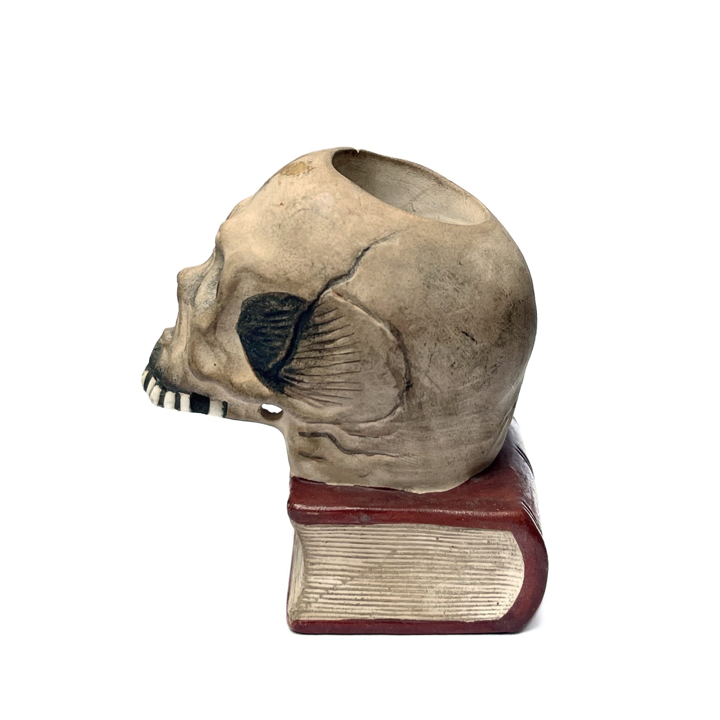 1950s - 1960s Skull On Book