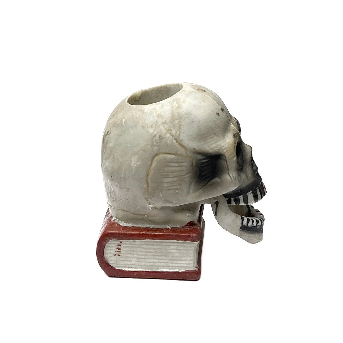 1950s - 1960s Skull On Book