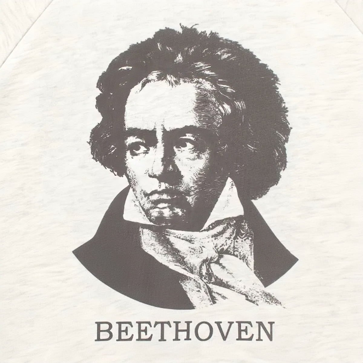 Healthknit - BEETHOVEN Crew Neck Sweatshirt (Gray)