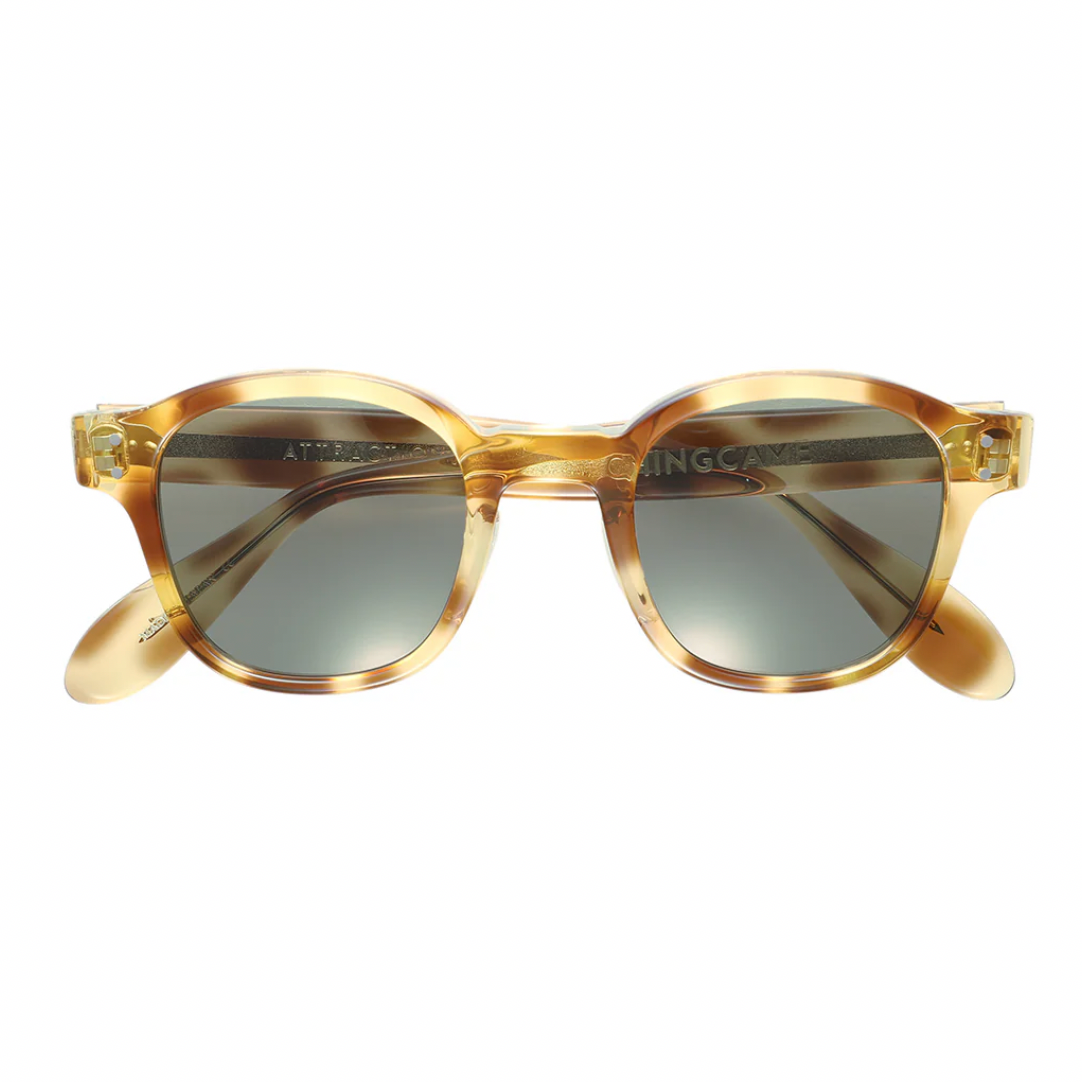 Attractions - AE0009V Vin-Chingcame (Leopard)