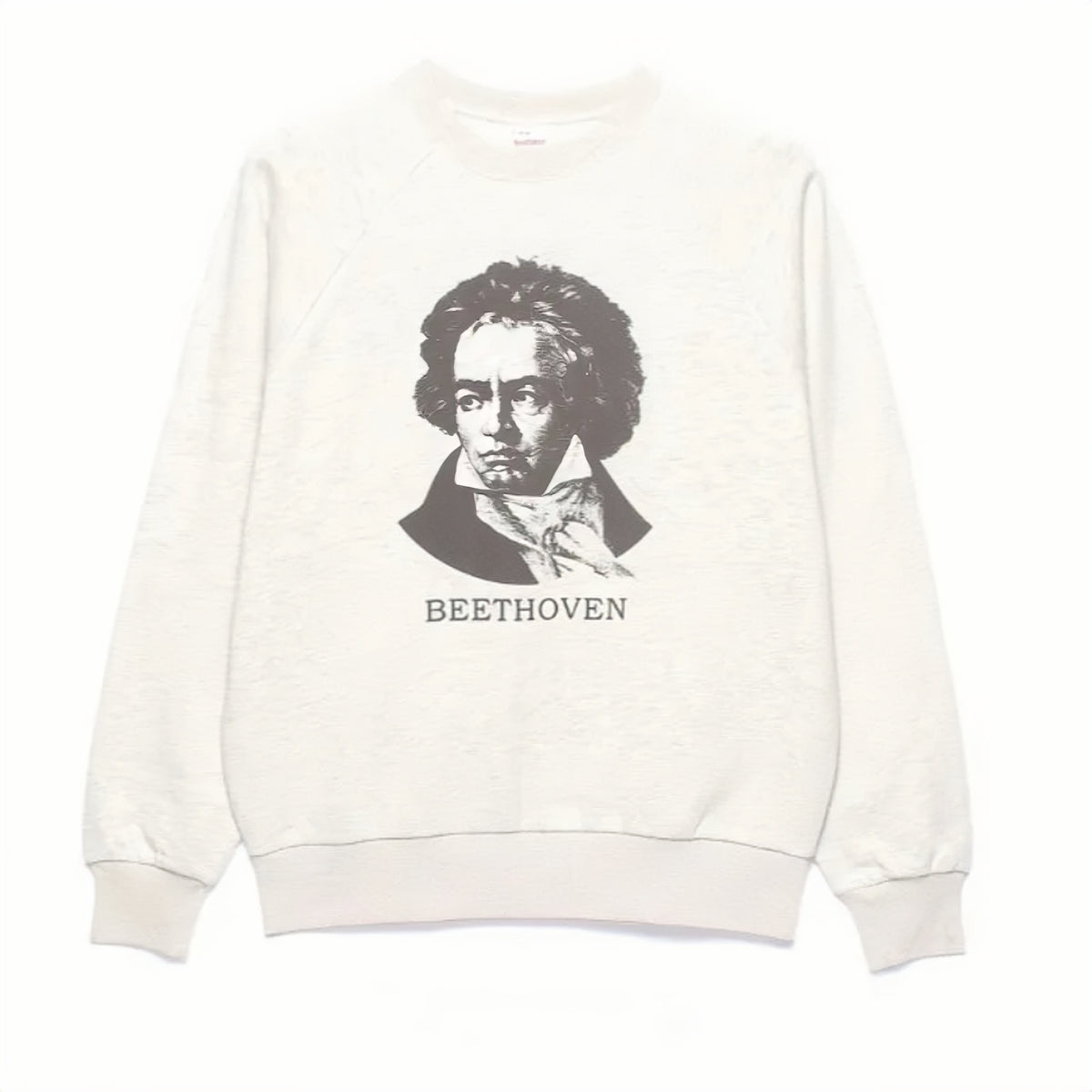 Healthknit - BEETHOVEN Crew Neck Sweatshirt (Gray)