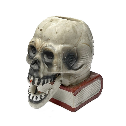 1950s - 1960s Skull On Book